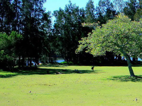 Lake Conjola Waterfront Holiday Park - Hervey Bay Accommodation 2