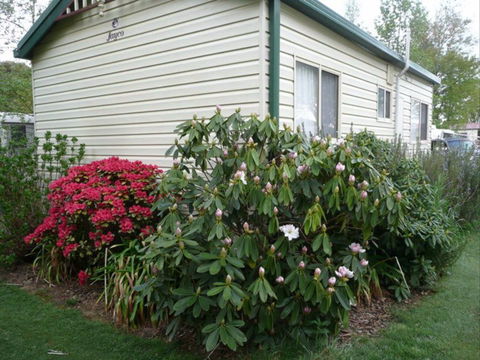 Jenolan Caravan Park - Hervey Bay Accommodation 1