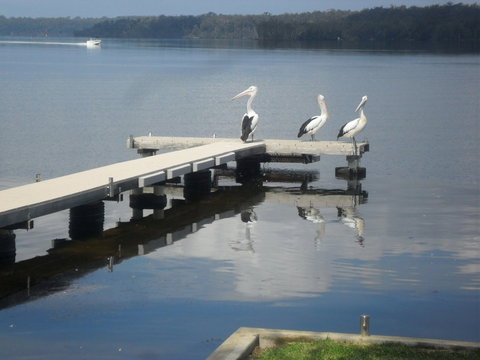 Basin Cabin - Hervey Bay Accommodation 0