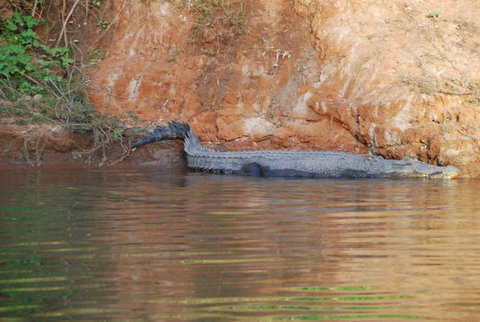 Mount Nancar Wilderness Retreat - Hervey Bay Accommodation 3