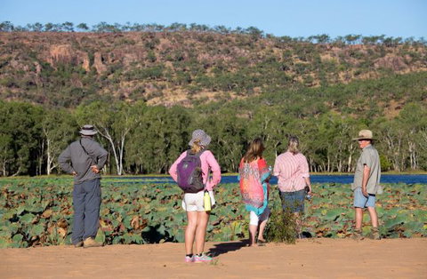 Mount Nancar Wilderness Retreat - Hervey Bay Accommodation 5