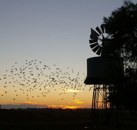 Nevertire Hotel - Hervey Bay Accommodation