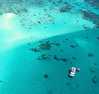 Ocean Free and Ocean Freedom - Cairns Premier Reef and Island Tours - Hervey Bay Accommodation
