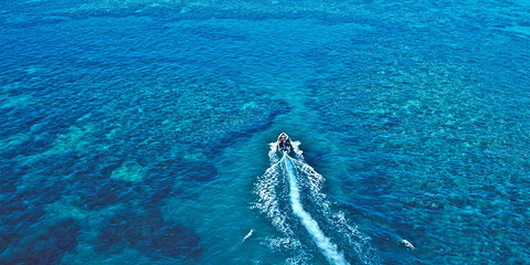 Ocean Free And Ocean Freedom - Cairns Premier Reef And Island Tours - Hervey Bay Accommodation 1