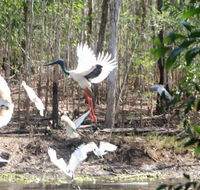 Rakhi Retreat - Tourism Hervey Bay
