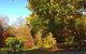 Eastern Dandenong Ranges Visitor Information Centre - thumb 1