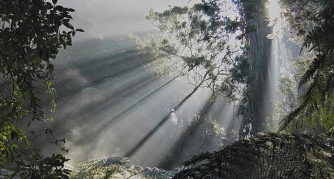 Eastern Dandenong Ranges Visitor Information Centre - Hervey Bay Accommodation 5