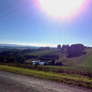 Eastern Dandenong Ranges Visitor Information Centre - Hervey Bay Accommodation 9
