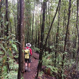 Eastern Dandenong Ranges Visitor Information Centre - Hervey Bay Accommodation 11