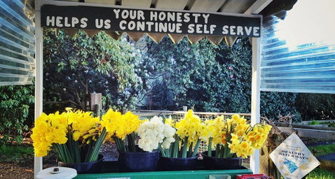 Eastern Dandenong Ranges Visitor Information Centre - Hervey Bay Accommodation 15