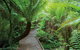 Eastern Dandenong Ranges Visitor Information Centre - thumb 17