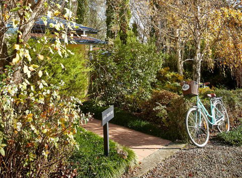 Pizzini's Vineyard Guesthouse - Hervey Bay Accommodation 5