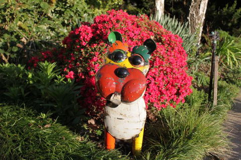 Pizzini's Vineyard Guesthouse - Hervey Bay Accommodation 7
