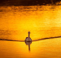 River Shack Rentals - Living the Dream - Hervey Bay Accommodation