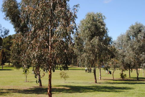 Casa Pizzini Bed And Breakfast - Hervey Bay Accommodation 6