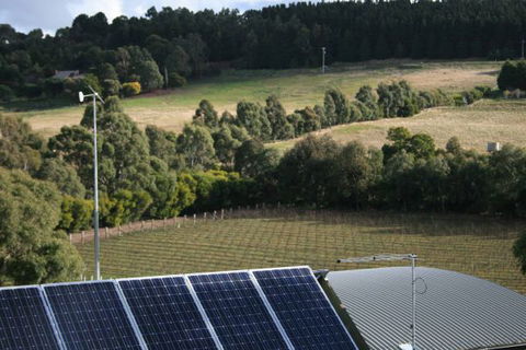 Gisborne Peak Winery  Cottages - Hervey Bay Accommodation 7