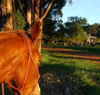 Billa Billa Farm Cottages - Hervey Bay Accommodation