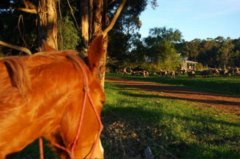Billa Billa Farm Cottages - Hervey Bay Accommodation 0