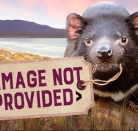 Thalia Haven - Hervey Bay Accommodation