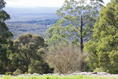 The Jungle Lodge, Blue Mountains Botanic Gardens - Hervey Bay Accommodation 6
