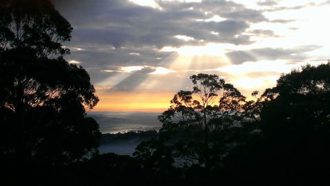 The Jungle Lodge, Blue Mountains Botanic Gardens - Hervey Bay Accommodation 8
