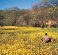 Miners Camp at Coalseam National Park - Hervey Bay Accommodation