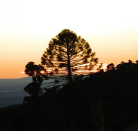 Bunya Mountains Accommodation Centre - Hervey Bay Accommodation