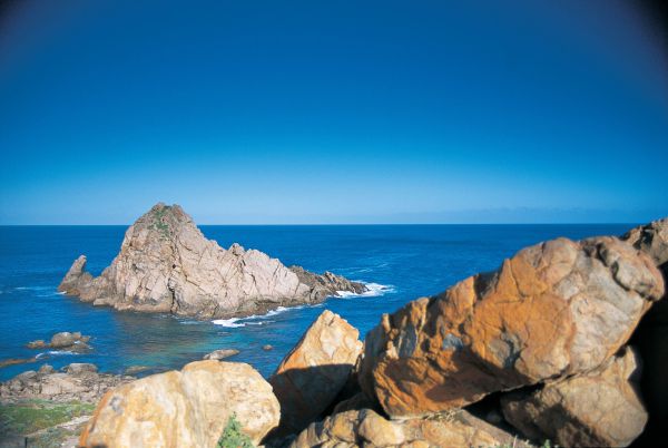 Boranup WA Tourism Hervey Bay