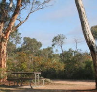 Drummonds Camp at Avon Valley National Park - Hervey Bay Accommodation