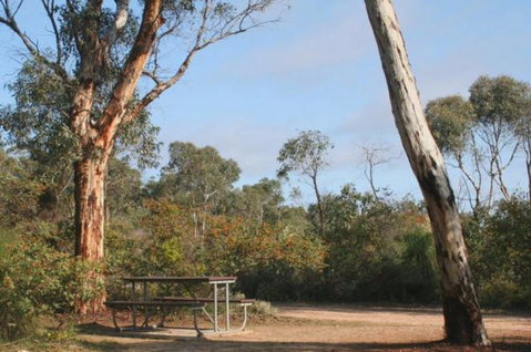 Drummonds Camp At Avon Valley National Park - Hervey Bay Accommodation 0