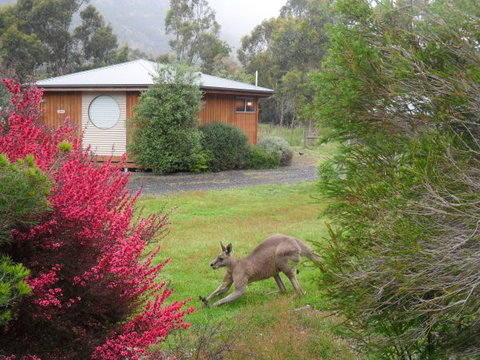 Grampians Chalets - Hervey Bay Accommodation 2