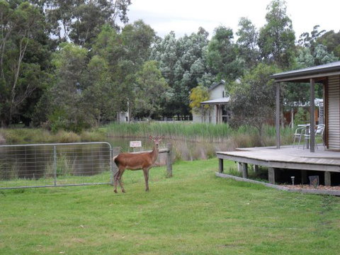 Grampians Chalets - Hervey Bay Accommodation 3