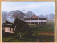 Megalong Valley Farm - Hervey Bay Accommodation 0