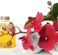Sunny Hill Retreat Accommodation  Day Spa - Hervey Bay Accommodation