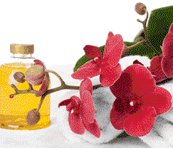 Sunny Hill Retreat Accommodation & Day Spa - Hervey Bay Accommodation 0