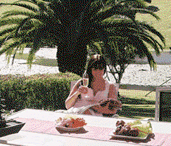 Sunny Hill Retreat Accommodation & Day Spa - Hervey Bay Accommodation 4