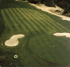 Emerald Golf And Country Resort - Hervey Bay Accommodation 1