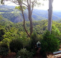 Mt Tamborine Motel - Hervey Bay Accommodation