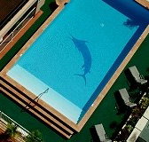 Pacific International Hotel - Hervey Bay Accommodation