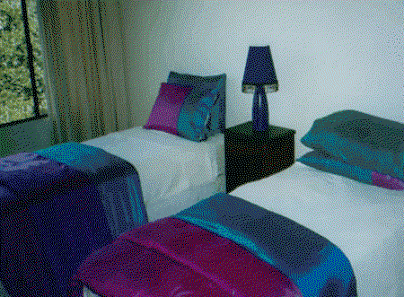 Tranquility Palm Cove - Hervey Bay Accommodation 4