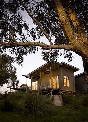 Longview Vineyard - Hervey Bay Accommodation 1