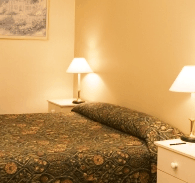 Best Western Abel Tasman Airport Motor Inn - Hervey Bay Accommodation
