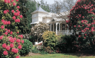 Anabel's of Scottsdale - Hervey Bay Accommodation