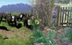 Carinya Farm Holiday Retreat - thumb 3