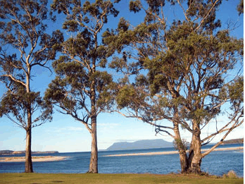 Island View Motel - Hervey Bay Accommodation 3