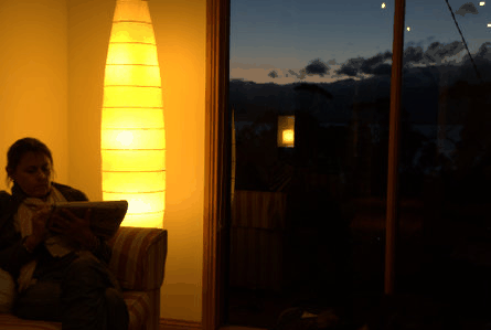 The Tree House - Hervey Bay Accommodation 2