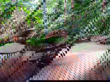 Abbazia Rainforest Studio - Hervey Bay Accommodation 3