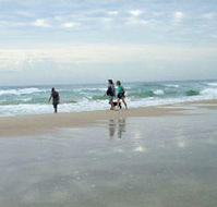 Alfies by the Sea - Hervey Bay Accommodation