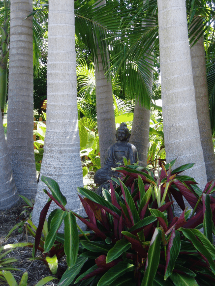 Amber Gardens Guesthouse - Hervey Bay Accommodation 3
