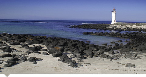 Oscars Waterfront Boutique Hotel - Hervey Bay Accommodation 3